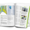 PARAGLIDING - The Beginners Guide - Image 7