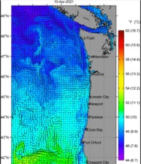 Sea Surface Temps 4-11-21