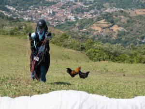 Two chickens and a pilot at launch.