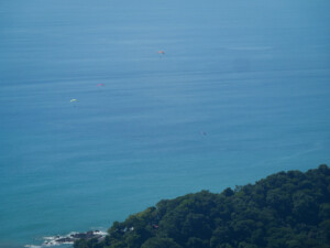 Paraglider pilots in the air.