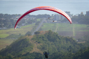 Paraglider with two Macaws passing in front.