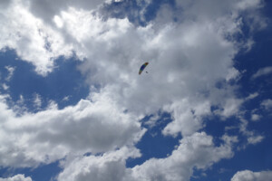 Paraglider climbing higher in a sky full of puffy cumulus clouds.