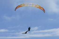 Flying with birds is the best Paraglider pilot sharing the air with a vulture
