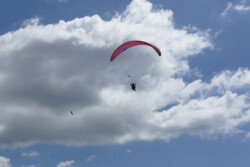 Soaring with some friendly Vultures. Paraglider pilot and birds sharing the air.
