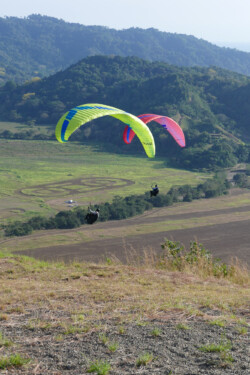 Learning to work together to find lift. Two Paragliders, just off launch, working together to try to find lift.