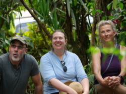 Look, a Toucan! ...Another one. ;-) Watching and listening to a Toucan enjoying a lunch of berries in a tree above.