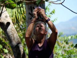 The glisten of sweat on your cheeks.
Something you get used to in the tropics!
Sort of! Maren, involved in taking her own picture of the monkeys above.