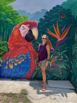 Street art in Jaco. Maren standing beside a lovely bit of street art depicting a Red Macaw or Lapa Roja.